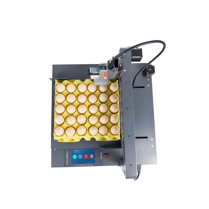 Faith  Automatic egg inkjet printer machine with conveyor belt egg date printer for sale