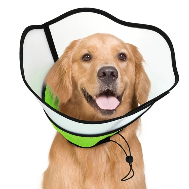 مستلزمات الحيوانات الأليفة للقطط والكلاب، طوق إليزابيث العالمي