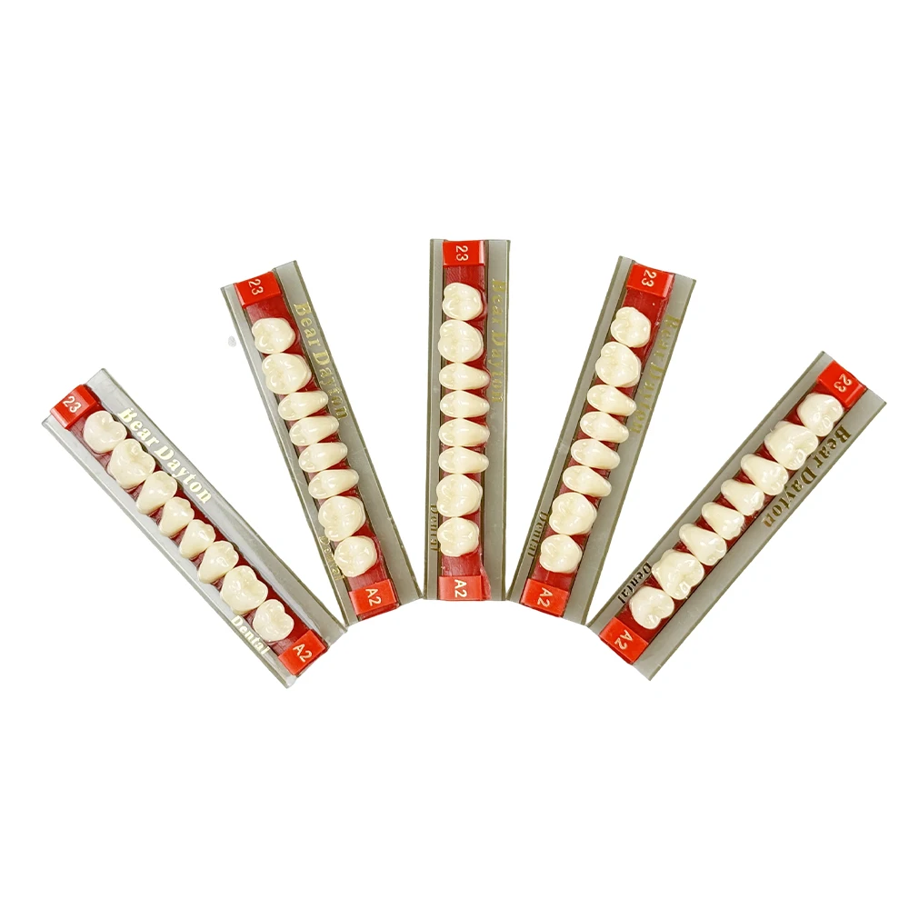 

Artificial Tooth Acrylic Resin Teeth Multi Layer Color Dentures Steel Teeth Full Mouth Removable Dentures A2 A3 2 Layers
