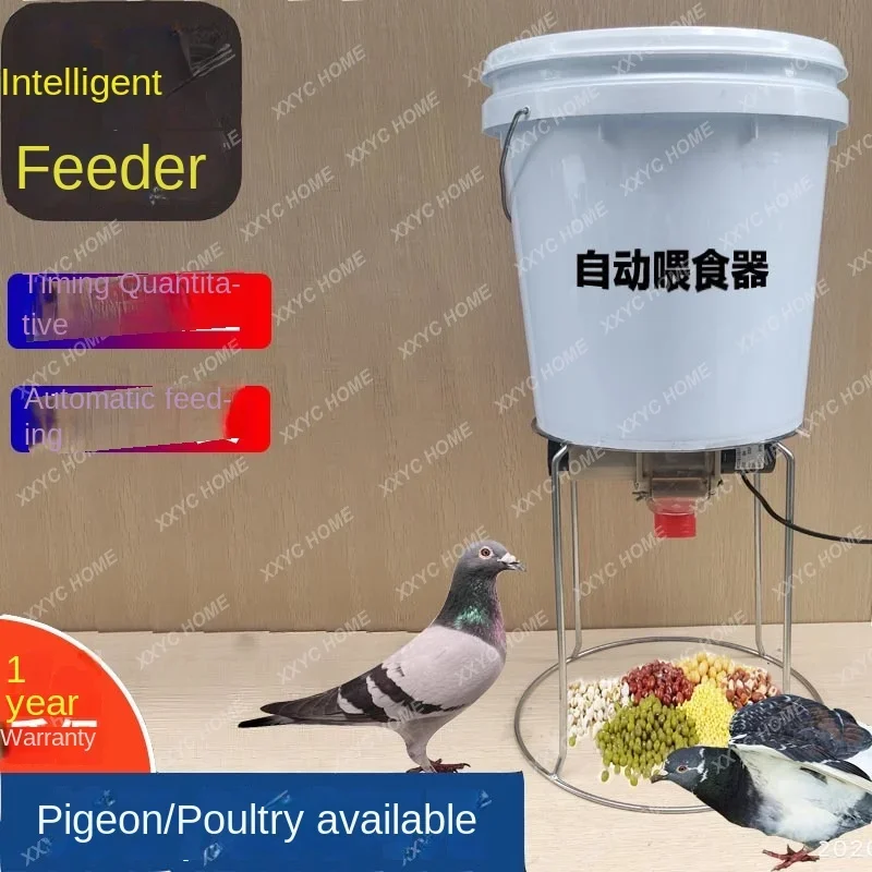 Pigeon trogolo intelligente temporizzazione mangiatoia automatica per polli forniture per piccioni mangiatoia automatica per polli Pigeon Chicken Duck Carrier