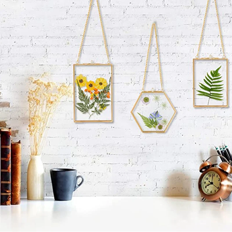 Dourado pendurado molduras de vidro com corrente, pressionado flores, DIY Artwork Display, 6 Packs