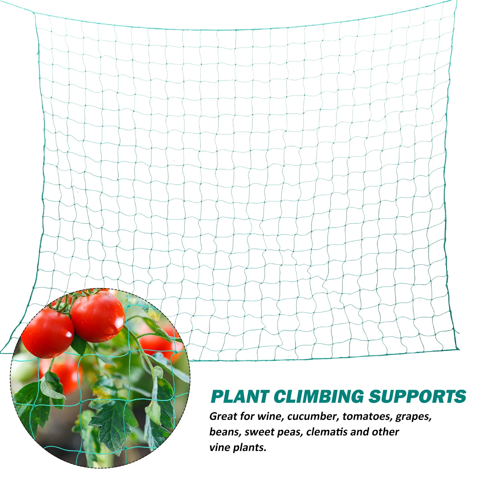 

Plant Climbing Support Net Professional Flexible Trellis Net for Garden Climbing Plants Vine Support Tomato Cucumber Grape Wine
