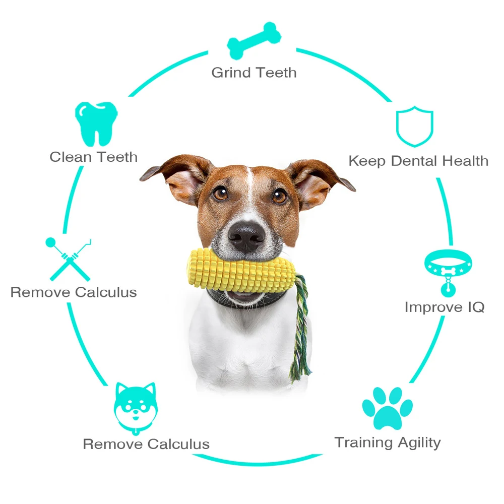 Giocattolo per cani da masticare di mais per cani di taglia media pulizia dei denti interattiva all'aperto giocattoli durevoli Labrador Bulldog francese forniture per animali domestici