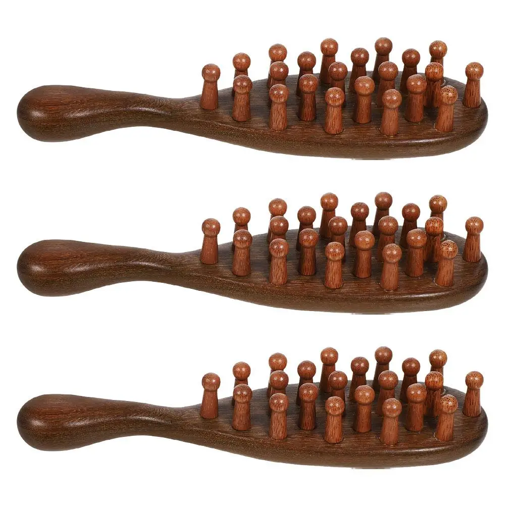 

3 Pcs Meridian Massage Comb Durable S Scalp Portable Wide Tooth Wooden Tool Hair Care Travel Use Small