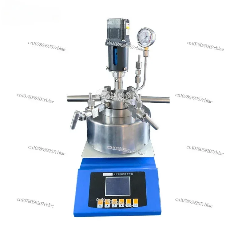 

Magnetic Stirring High Pressure Reactor Laboratory Small Stainless Steel High Temperature Hydro