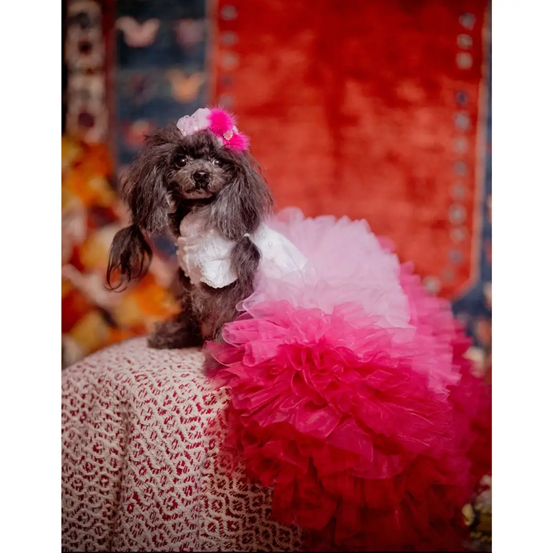 Luxury Handmade Princess Dog Dress Pink Gradient Tulle Cake Skirt with Chapel Train for Queen Pet Birthday Celebration