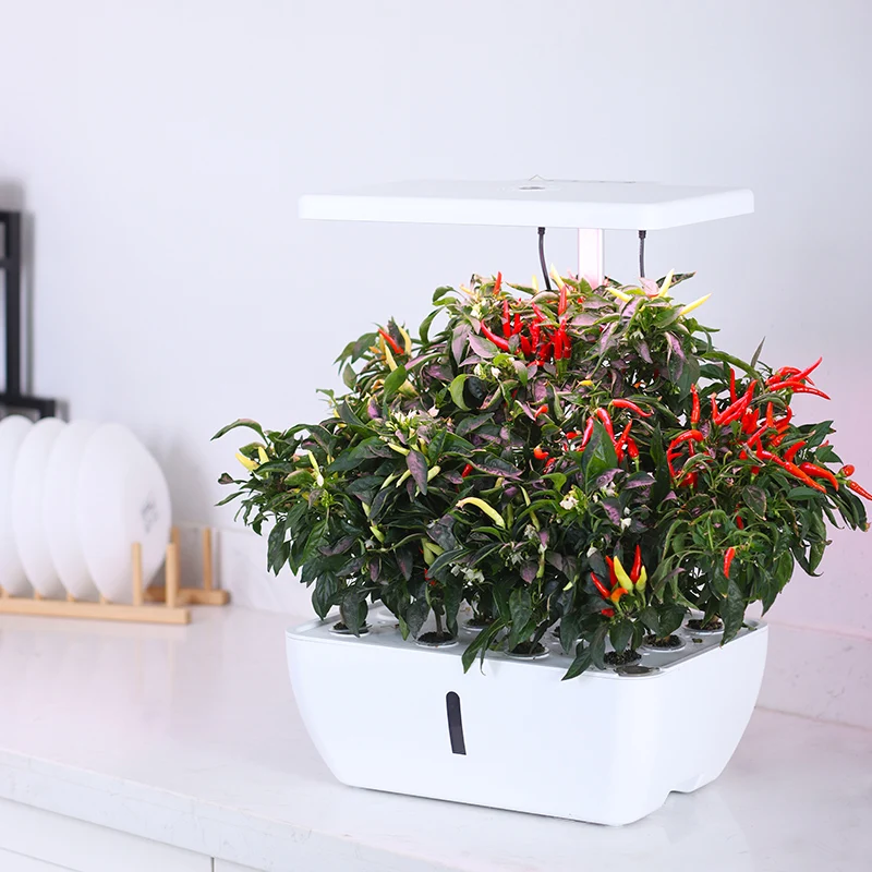 home hydroponic growing systems click and grow Indoor mini garden for plants   flower smart planter