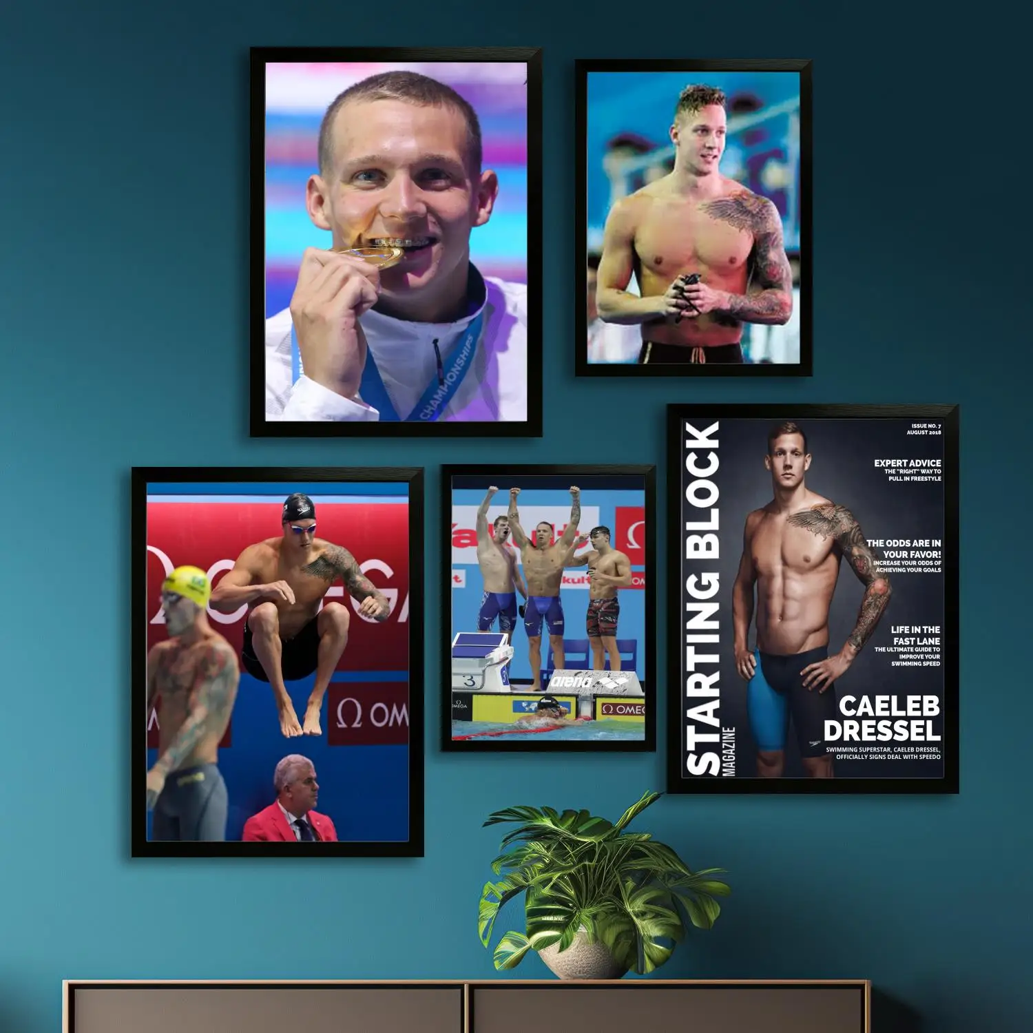 caeleb dressel Canvas Art Poster and Wall Art, Picture Print, Modern Family, Bedroom Decor, Posters,Decorative painting