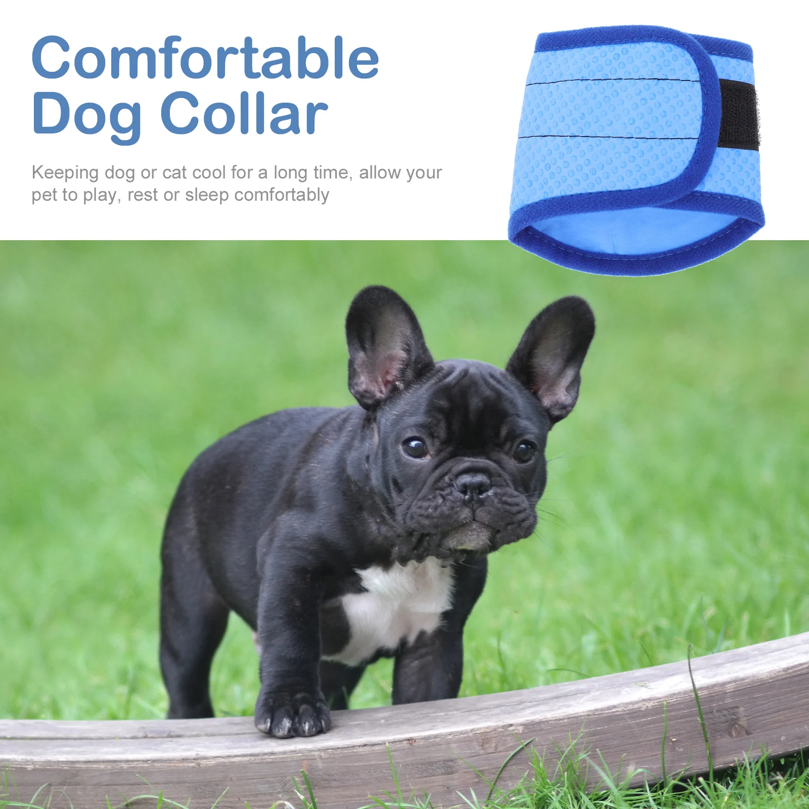 

Cool Collar Pet Cooling Scarf Small Dog Bandana Towel Hot Days Decor Products Comfortable Long Lasting PVA Material Dog