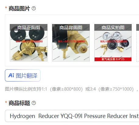 

Hydrogen Reducer YQQ-09I Pressure Reducer Instrument, Reducer, Hydrogen Reducing Valve Instrument