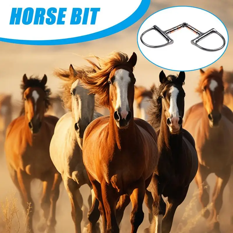 D Ring Horse Bit Horse Mouth Bit With Copper Roller Mouth D-Ring Snaffle Bits Single Joint Horse Bit Professional Ring Snaffle