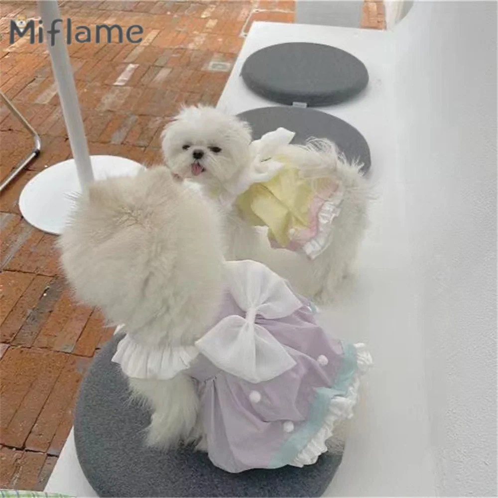 

Miflame Summer Cake Skirt Pet Clothes Big Bow Cat Dog Dress Maltese Yorkies Pomeranian Clothing Fashion Small Dogs Skirt