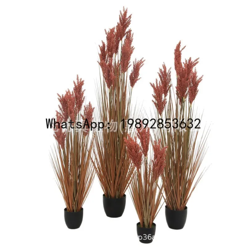 

Xl wedding artificial grass sorghum grass indoor decoration fake flower reed grass floor standing green plant