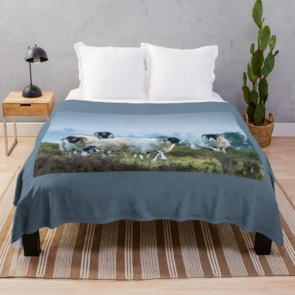 Swaledale Sheep on Stanton Moor Throw Blanket Multi-Purpose Vintage Thermal Blankets