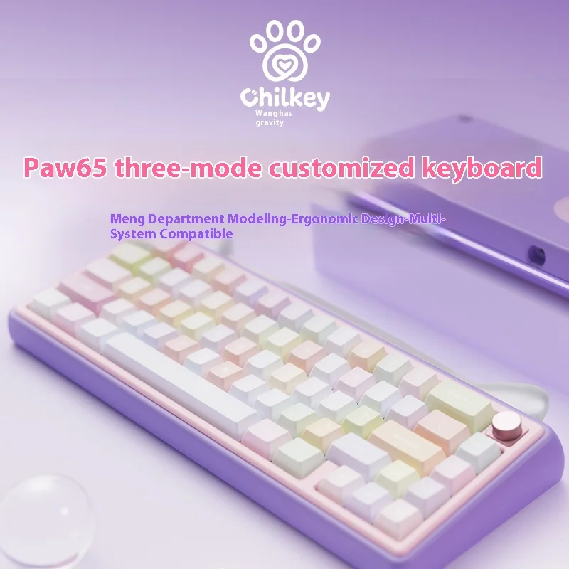 Chilkey Paw65 Mechanical Keyboard Rgb 3mode Gamer Keyboard With Knob Aluminum 66Keys Hot Swap Customization Pc Accessory Gifts