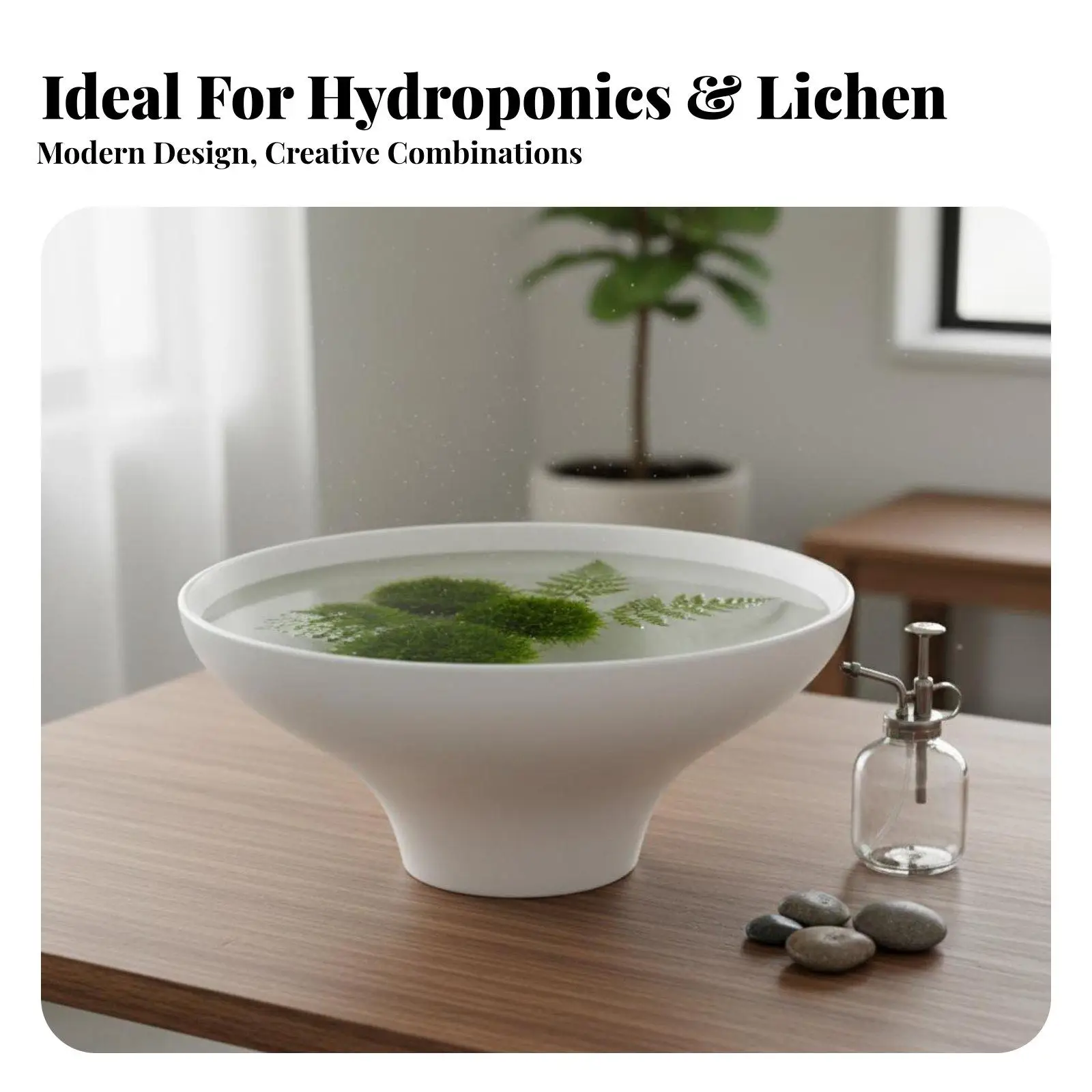 Matte Ceramic Planter Soilless Plant Pot Decorative Bowl for Living Room Botanical Arrangement