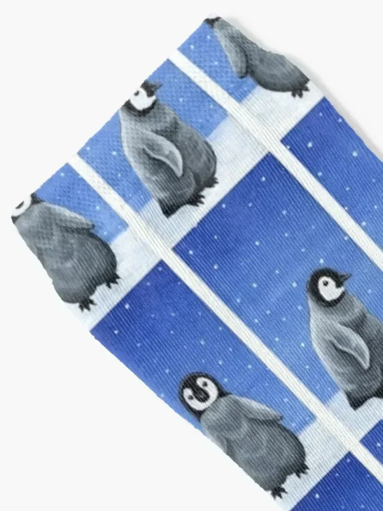 Emperor Penguin Chicks Socks essential men cotton high quality gifts set Socks Men Women's
