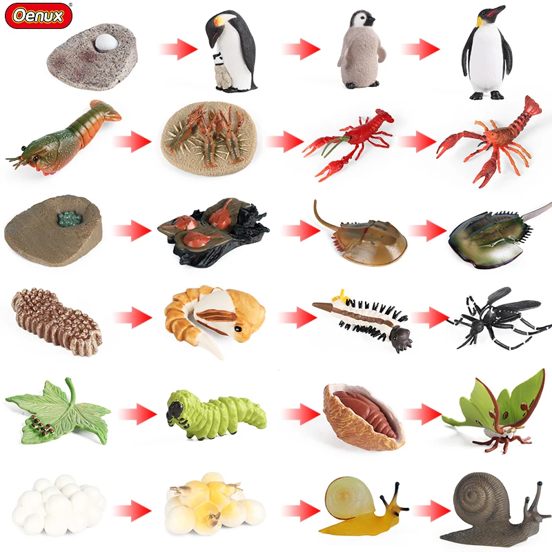 Life Growth Cycle Model Simulation Penguin Lobster Snail Salmon Action Figures Miniature School Educational Kids Toy Gifts