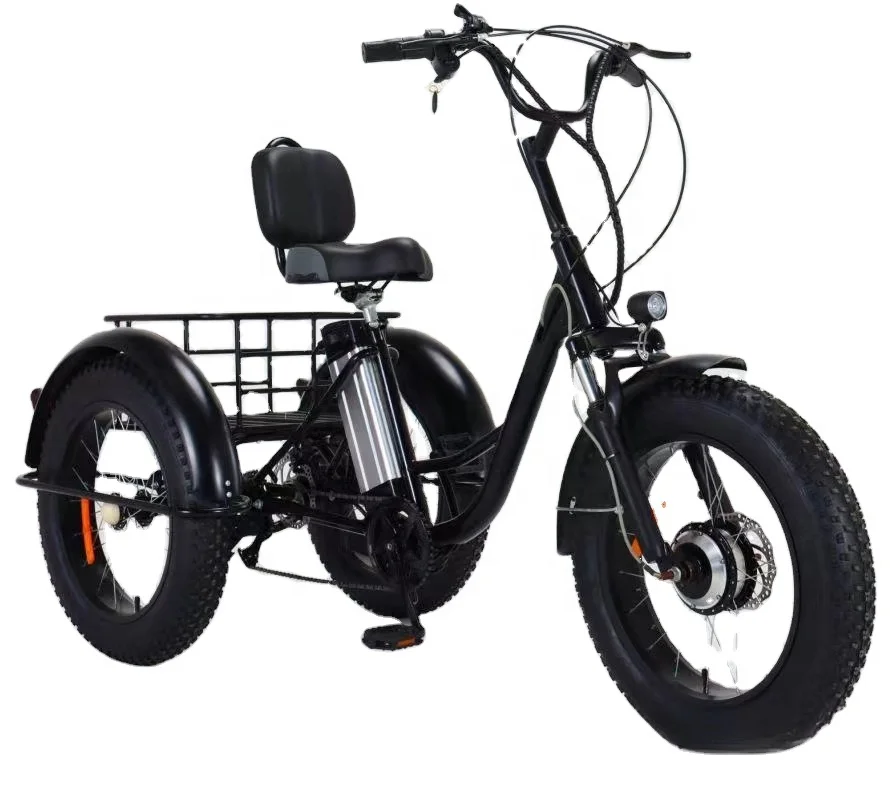 Professional Design 20 Inch Fat Tire 500w Bafang Medium Drive Motor Electric Bicycle