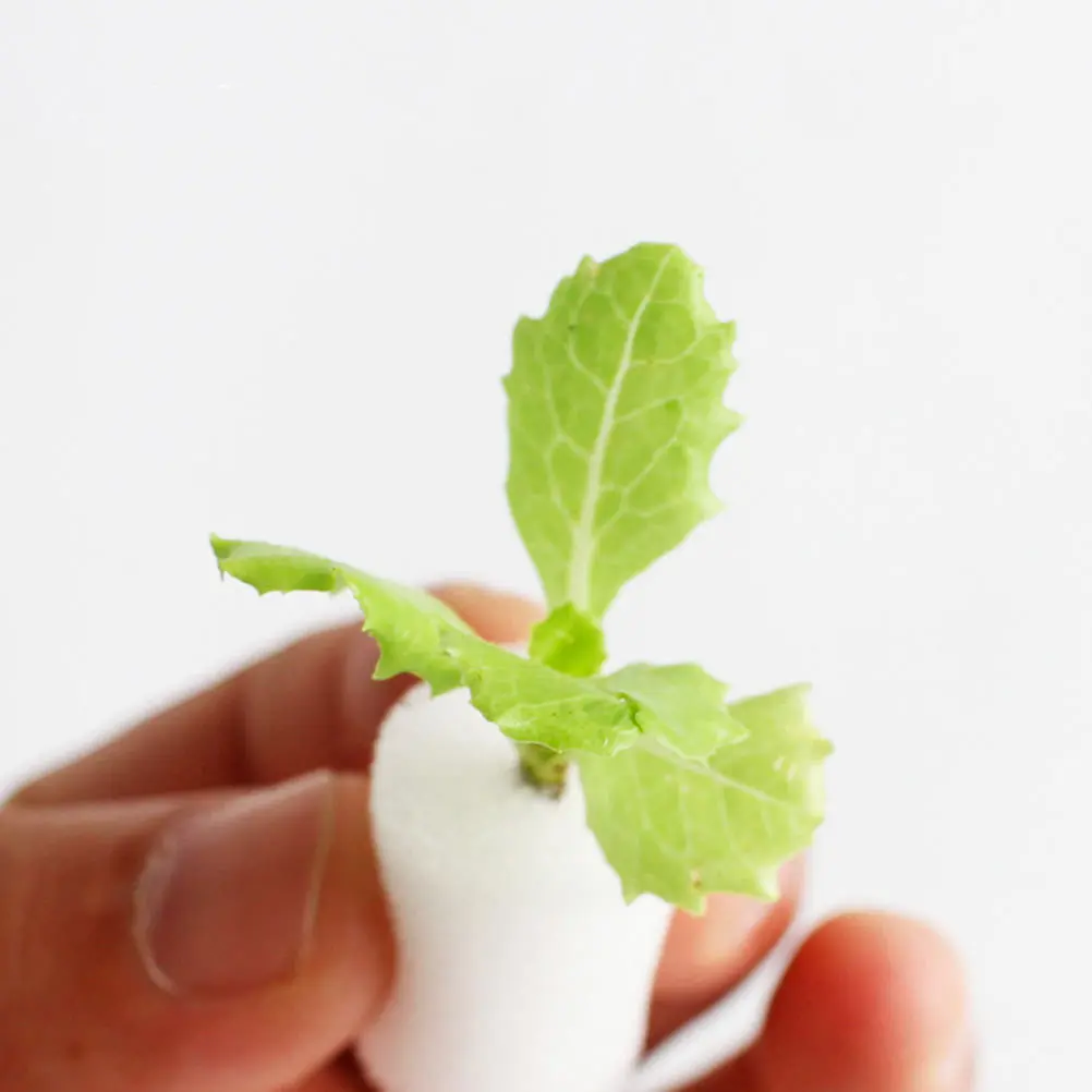 

120 шт., губка для посадки без почвы, блоки для гидропоники, садоводства овощей, сетчатая ткань для роста корней, беспочвенная губка для выращивания