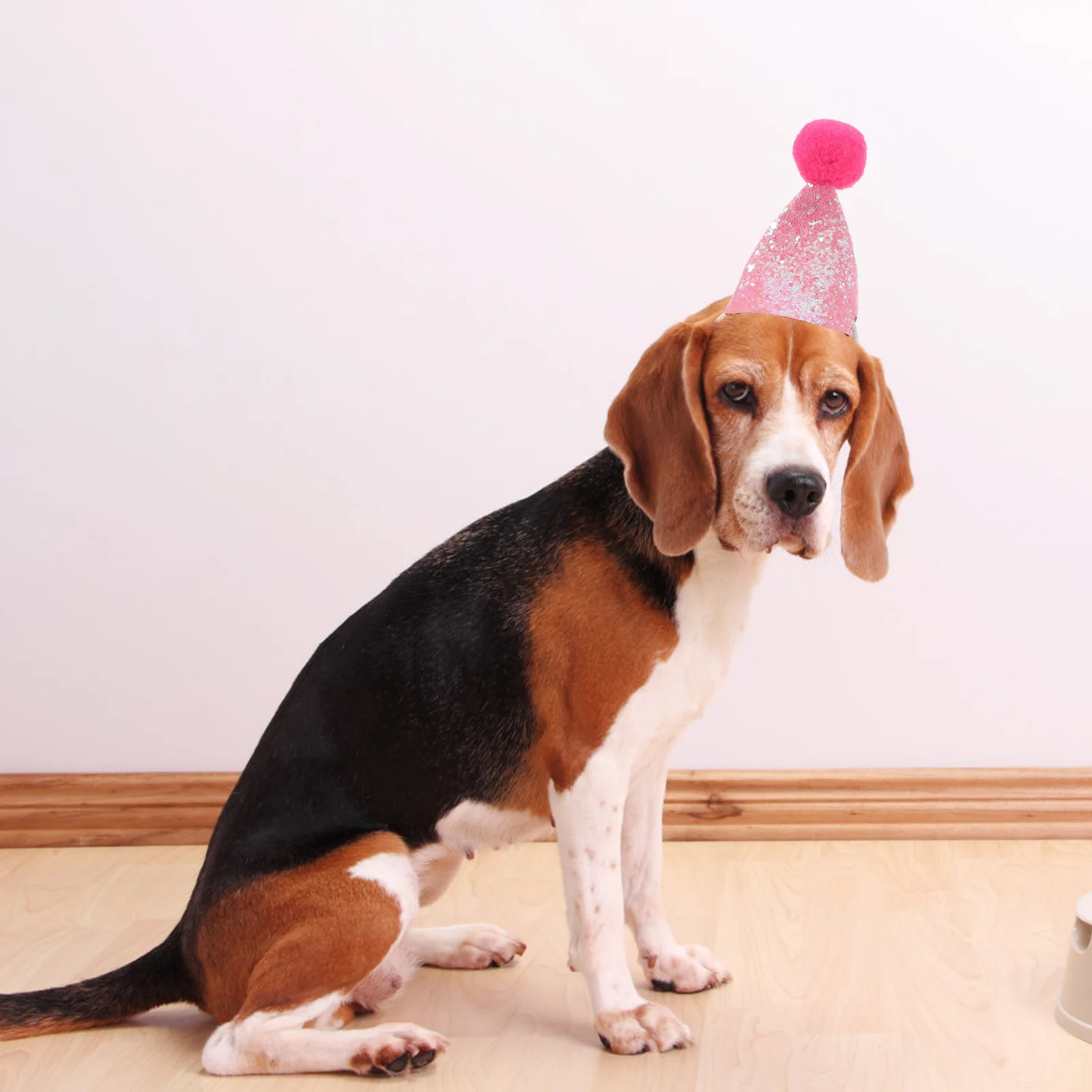 

10Pcs Pet Birthday Hat Party Cone Hats Dog Birthday Decoration Accessories Supplies Cat Hat Costume