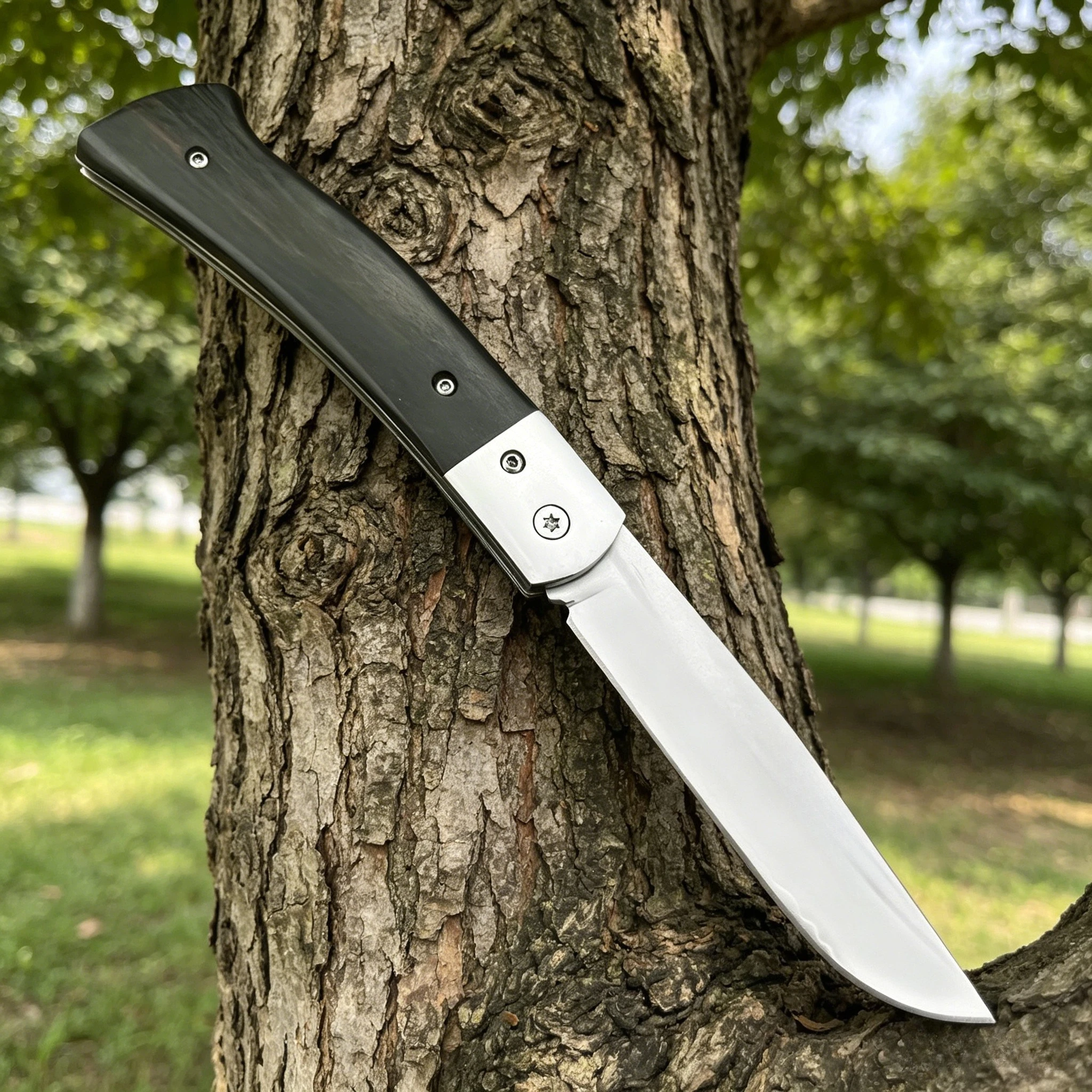 

Portable EDC Folding Knife 5Cr13MoV Steel Blade 420 Steel Frame Ebony Handle Lightweight Outdoor Camping Everyday Fruit Knife