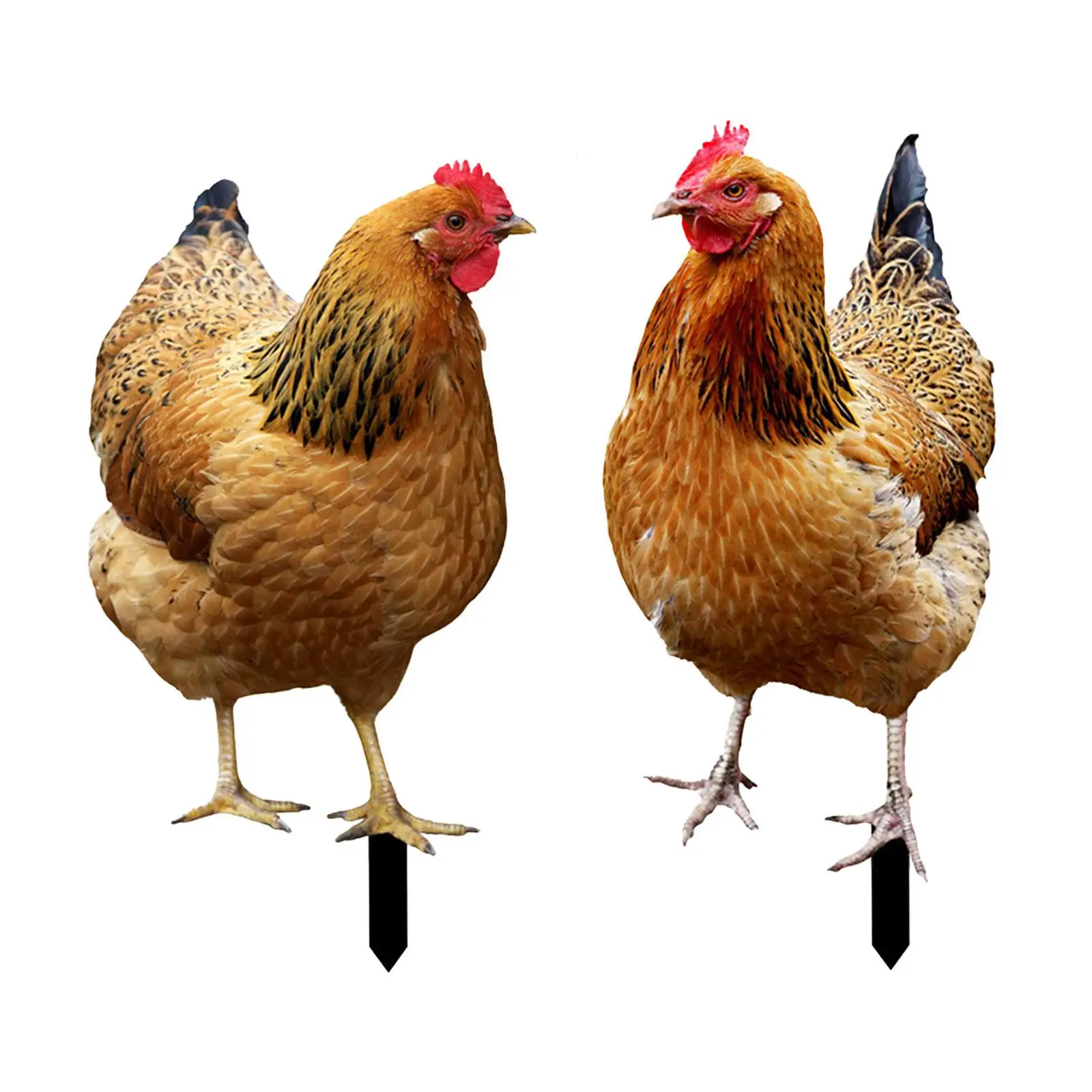 

2 Pieces Chicken Decorative Garden Stakes Yard Art Decor Hen Realistic Lifelike Animal Stakes for Lawn Landscape Pathway Farm