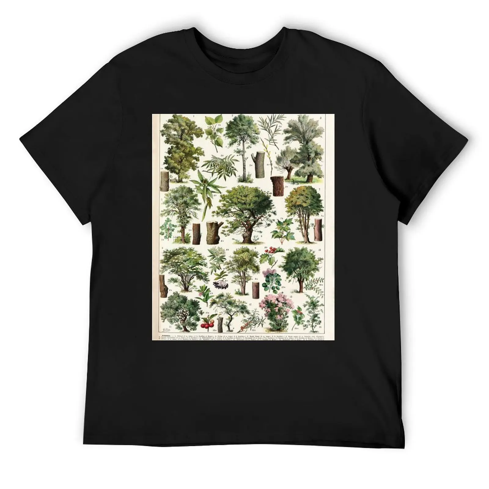 Adolphe Millot - Arbres A - French vintage botanical poster T-Shirt graphics oversized t shirt men