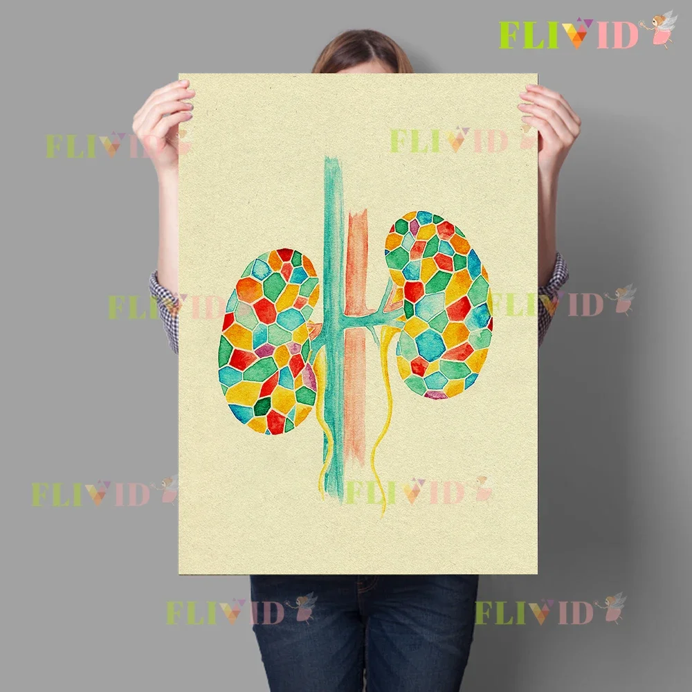 Mosaic Watercolor Anatomical Canvas Painting,Brain & Kidney Anatomy Wall Art,Medical Office Educational, Clinic & Waiting Poster