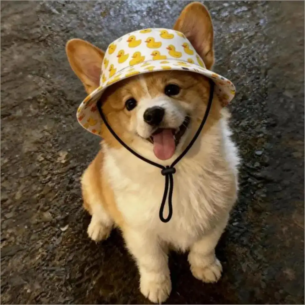 1PC Adjustable Pet Sun Hat with Ear Holes - Breathable Dog Bucket Hat for Small Dogs & Cats, UV Protection Summer Outdoor - view 4