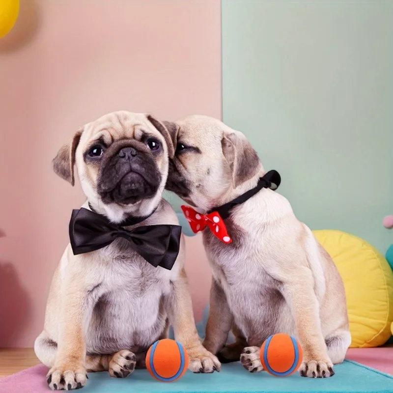 Thumbnail 4 - #6 Trending Puppy Fetch Toys Right Now