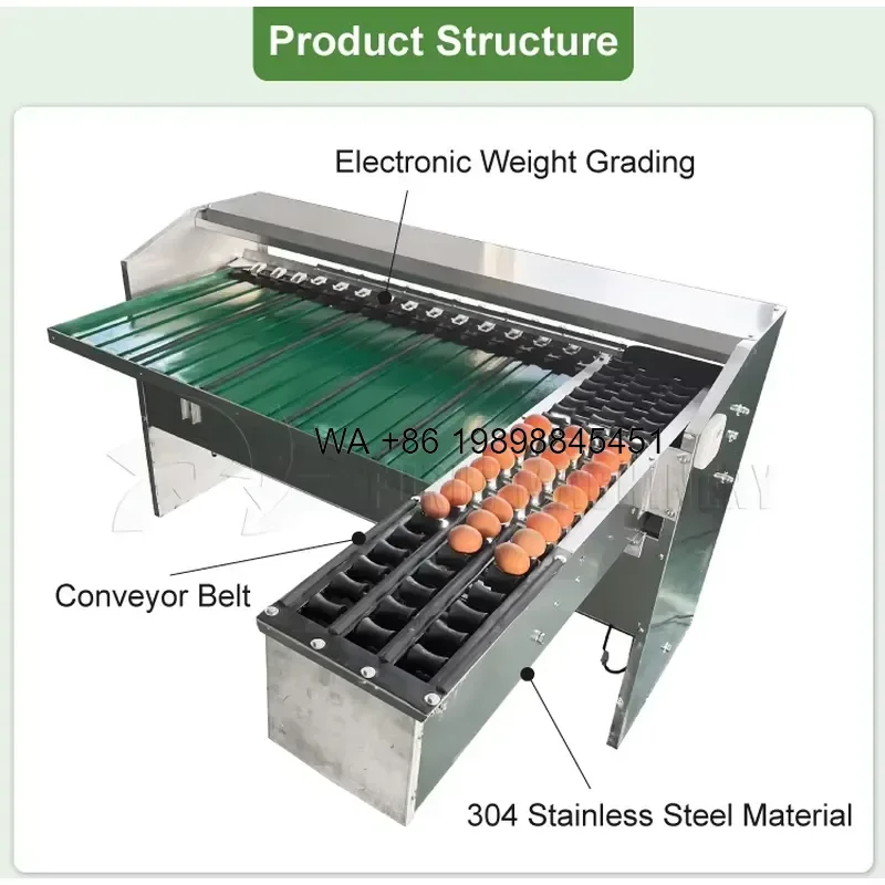 Wmwmnu Stainless Steel Small Farm Egg Washing Grading Sorting 5-7 Levels Capacity 50000 Per Hour for Asia EU