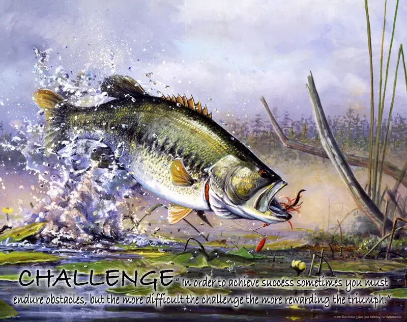 

Largemouth Bass Fishing Motivational, Art print Silk poster, Home Wall Decor