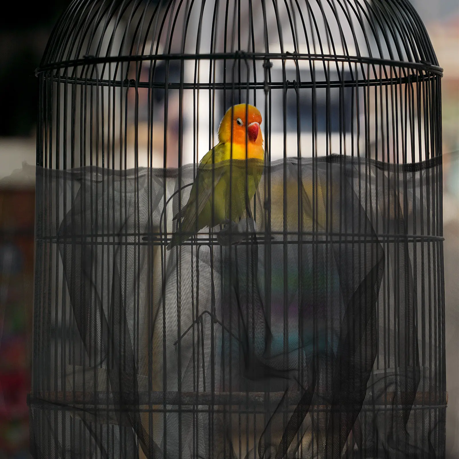 2Pcs Bird Cage Mesh Cover Stretchy Form Fitting Net Skirt Seed Catcher Screen for Parrot Enclosures Breathable Birdcage Dust