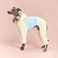 Yellow Blue
