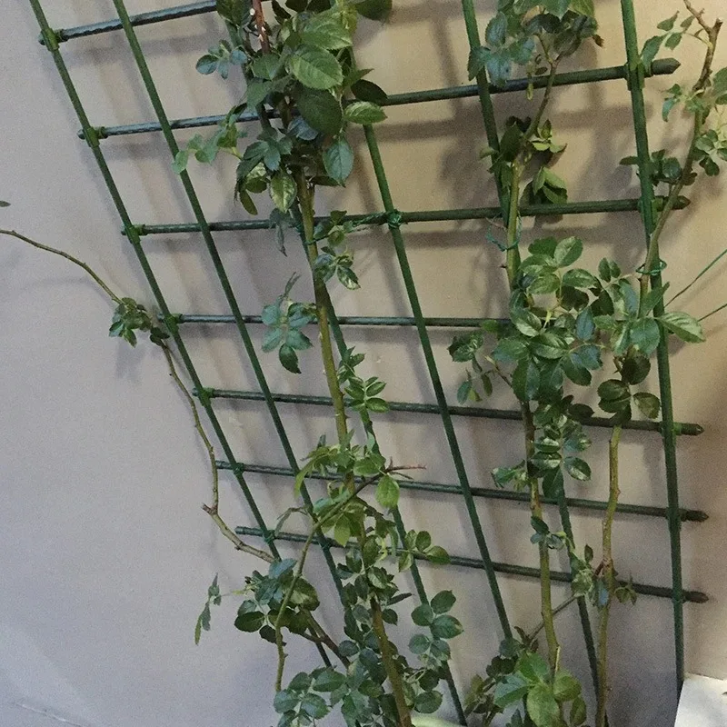 8x750mm Urban Planters Plant Trellis Supporting Frame for A Frame Garden Vegetable Trellis Garden Outdoor Use H0983BTD
