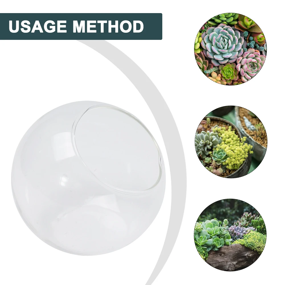 Open Mouth Glass Terrarium Vase for Succulent Plants Clear Borosilicate Glass with Hole for Easy Filling and Display Purposes