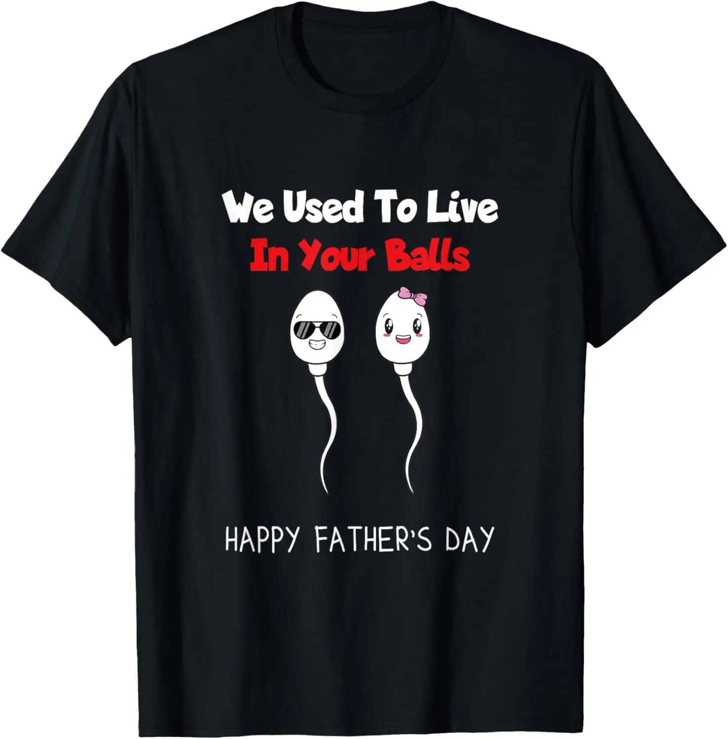 

Funny Boy And Girl Fathers Day We Used To Live In Your Balls