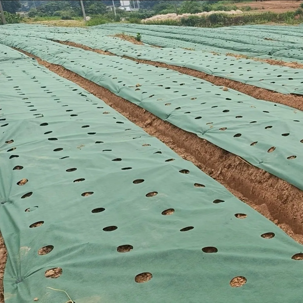 Pre-punched Holes Perforated Grass Proof Cloth Biodegradable Double Layer Weed Proof Cloth with Ground Nails UV Resistant