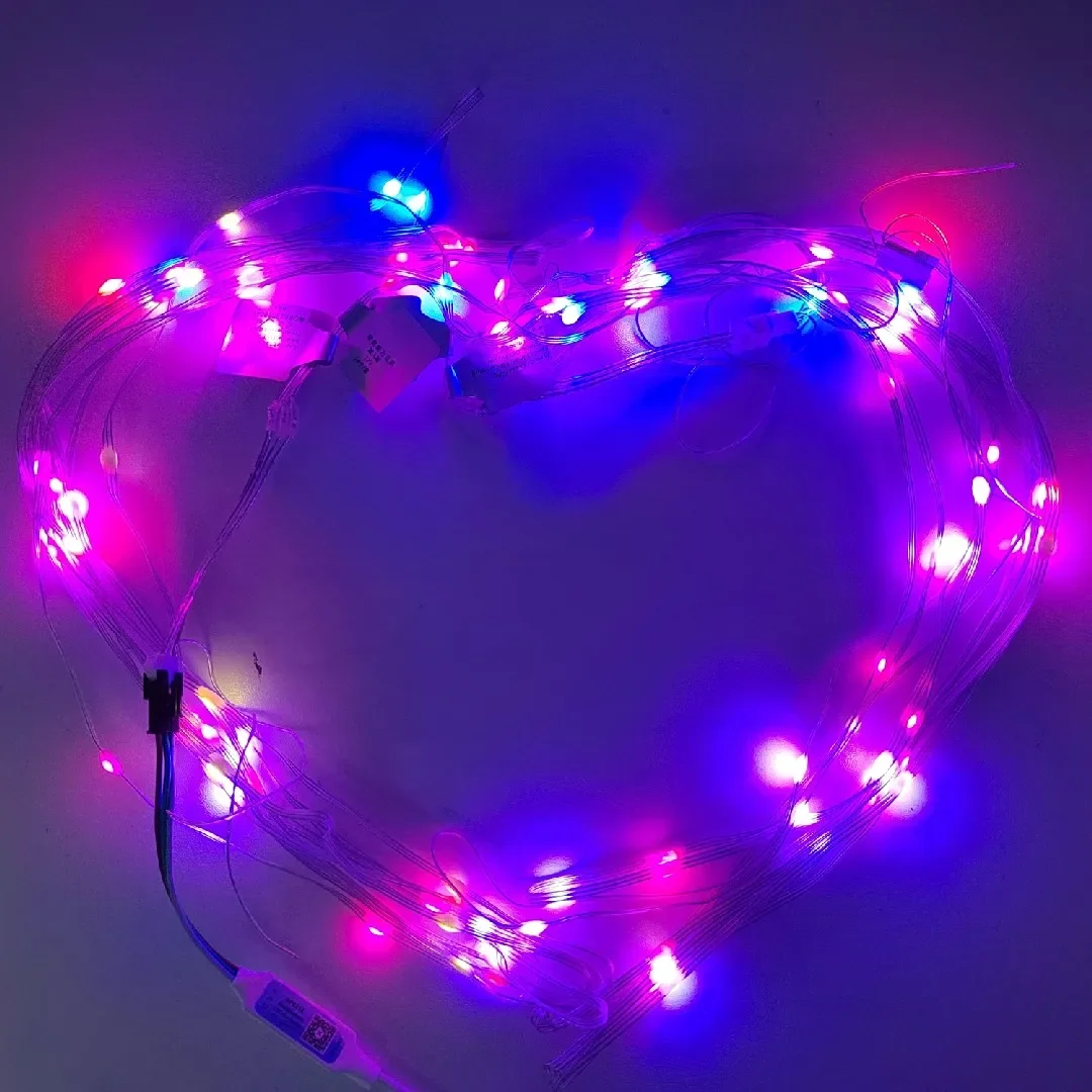 5M 2812 Rgb Pixel Led String Licht Dc5/12V Adresseerbare Individueel Sprookjesachtig Licht Voor Vakantie Bruiloft Feest Kerst Decor Lamp