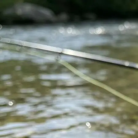 Nylon Fly Fishing Line 100FT Weight Forward Profile Engineered for Smooth Delivery and Stable Subsurface in Streams