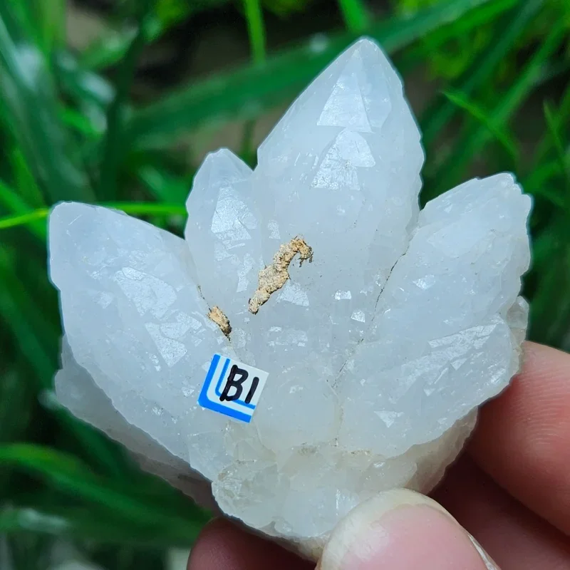 Natural Clear Quartz Crystal Cluster Raw Stone Healing Energy Reiki Home Decor for Crystal Cleansing