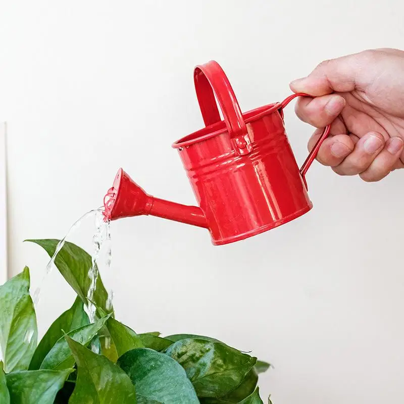 New Metal Watering Can Garden Flower Kettle Mini Small Water Spraying Pot Large Capacity For Kids Adult