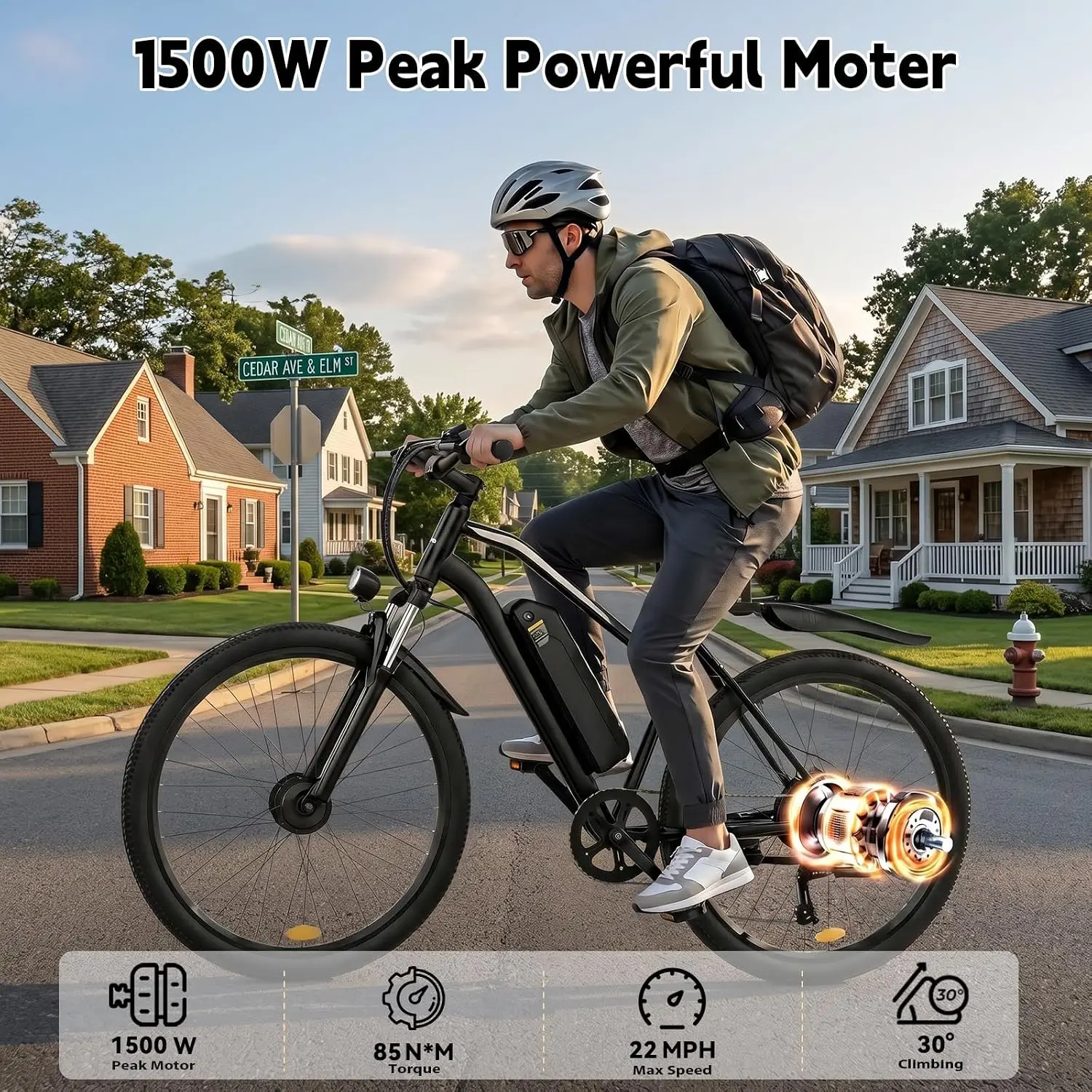 1500W Peak Motor Electric Bike for Adults 48V 36V Battery, Customized