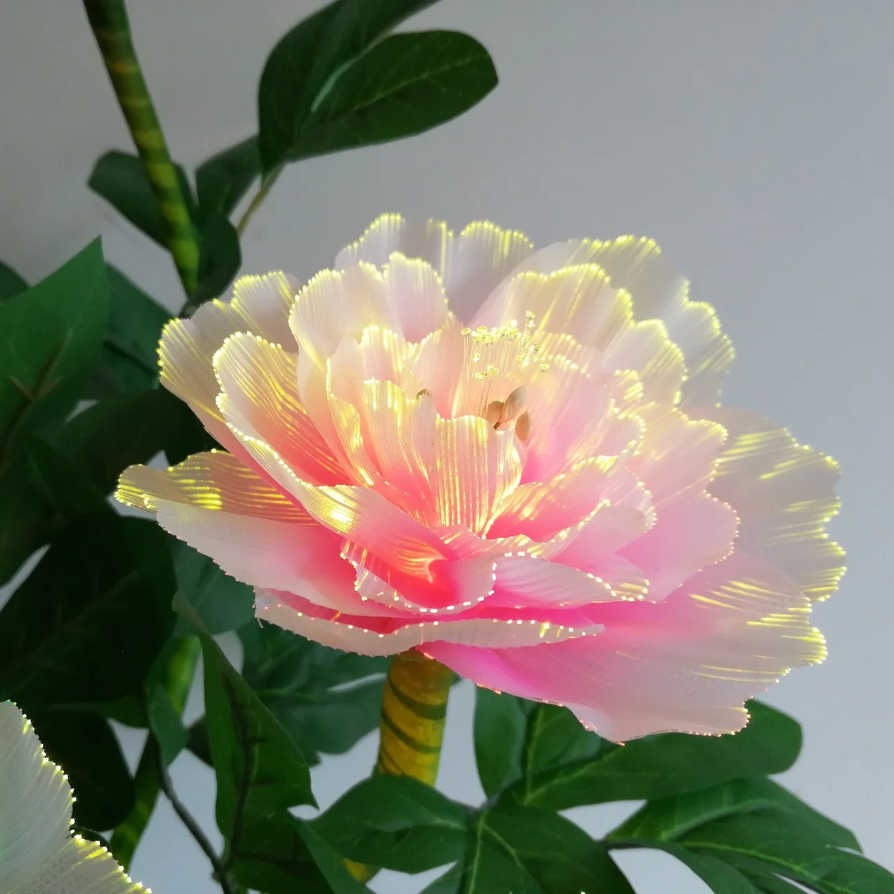 Led Lamp Peony Fiber Optic Flower Light - Color-Changing Immortal Artificial Flower for Wedding Home Shop Bar Decor Night Lamp