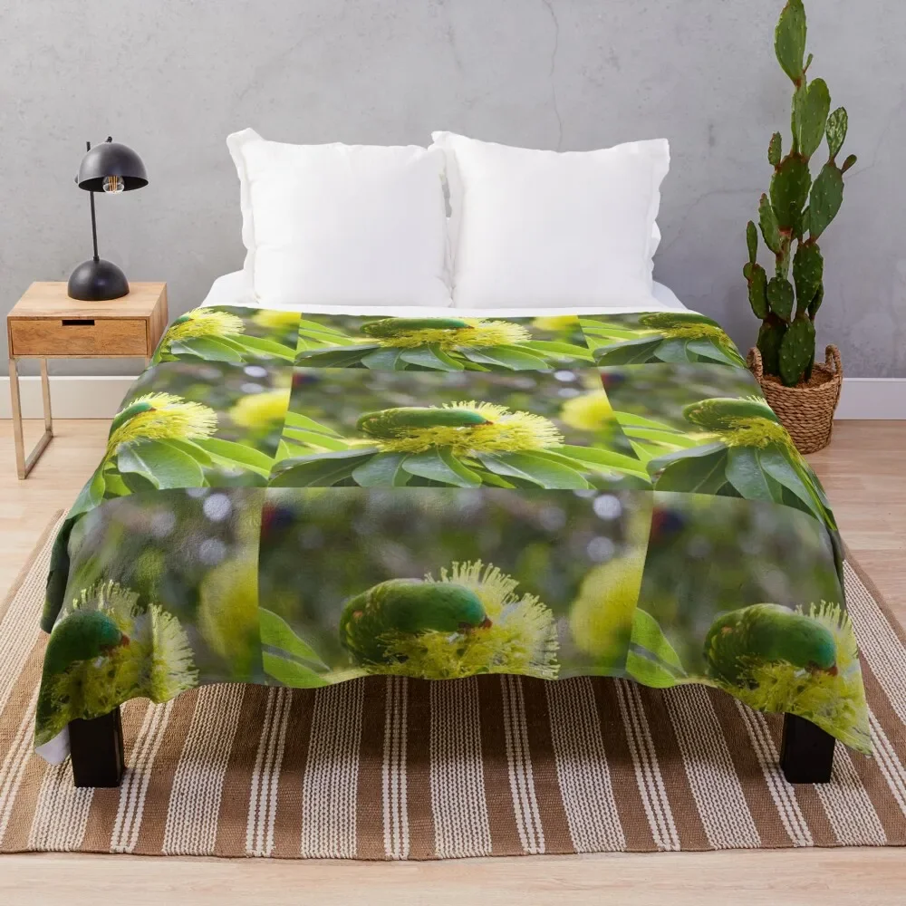 Scaly Breasted Lorikeet Throw Blanket Beautifuls Furry Camping bed plaid Blankets