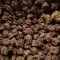 Wholesale Bulk Japanese Catnip Cat Toy Dried Fruits Organic Actinidia Polygama Matatabi Silvervine Fruit 5