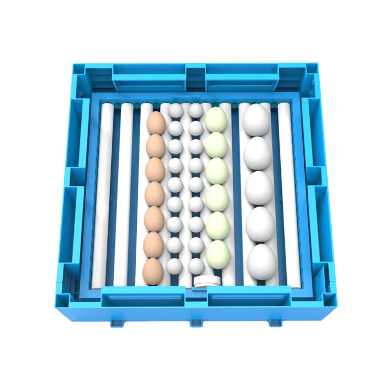 2021 حاضنة دجاج تقنية جديدة تفقيس 320 بيضة HJ-MN320 #2
