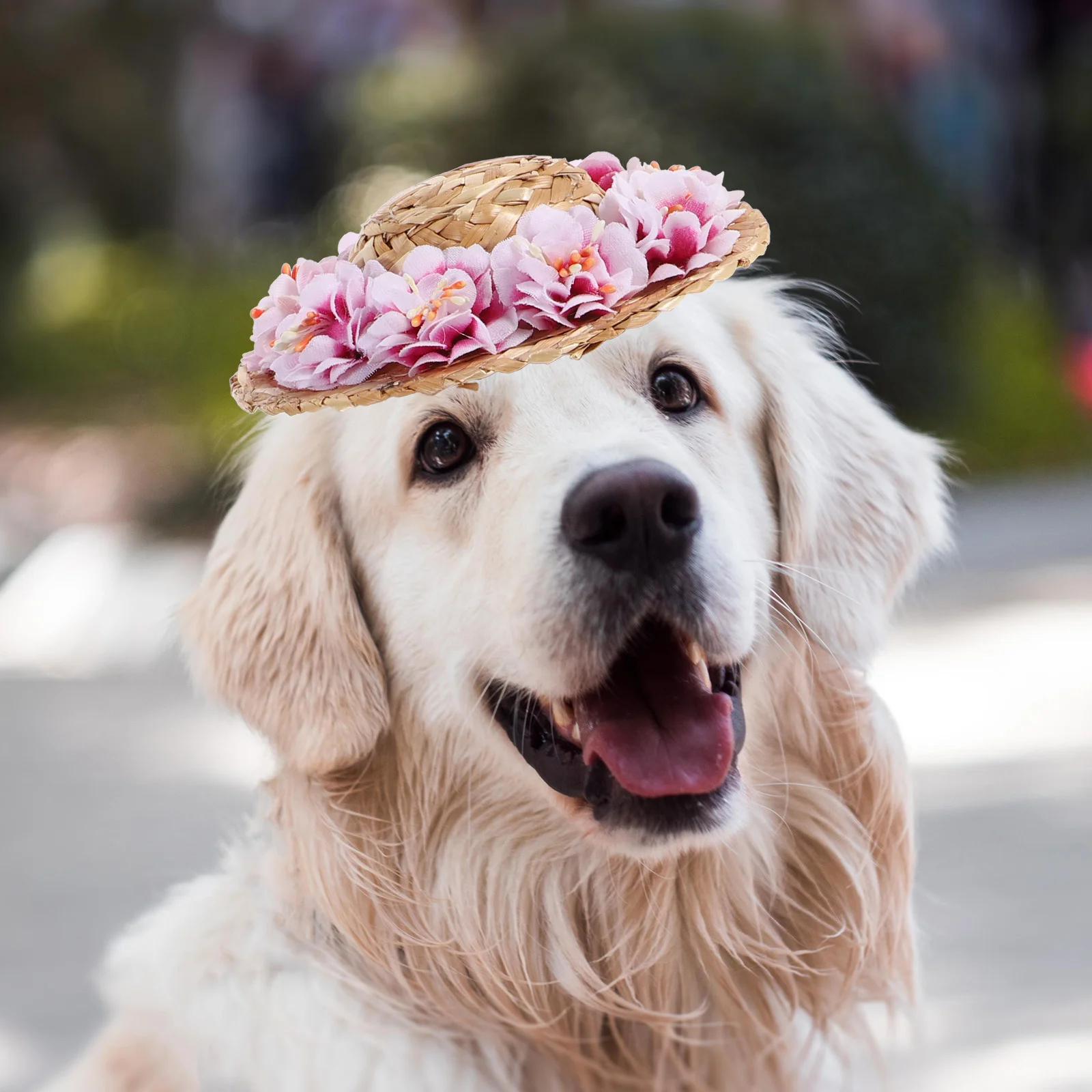 Pet Flower Straw Hat Dog Spring Summer Woven Straw Hat Costume Accessory Size S (Pink Flower, Random Style of the Drawstr