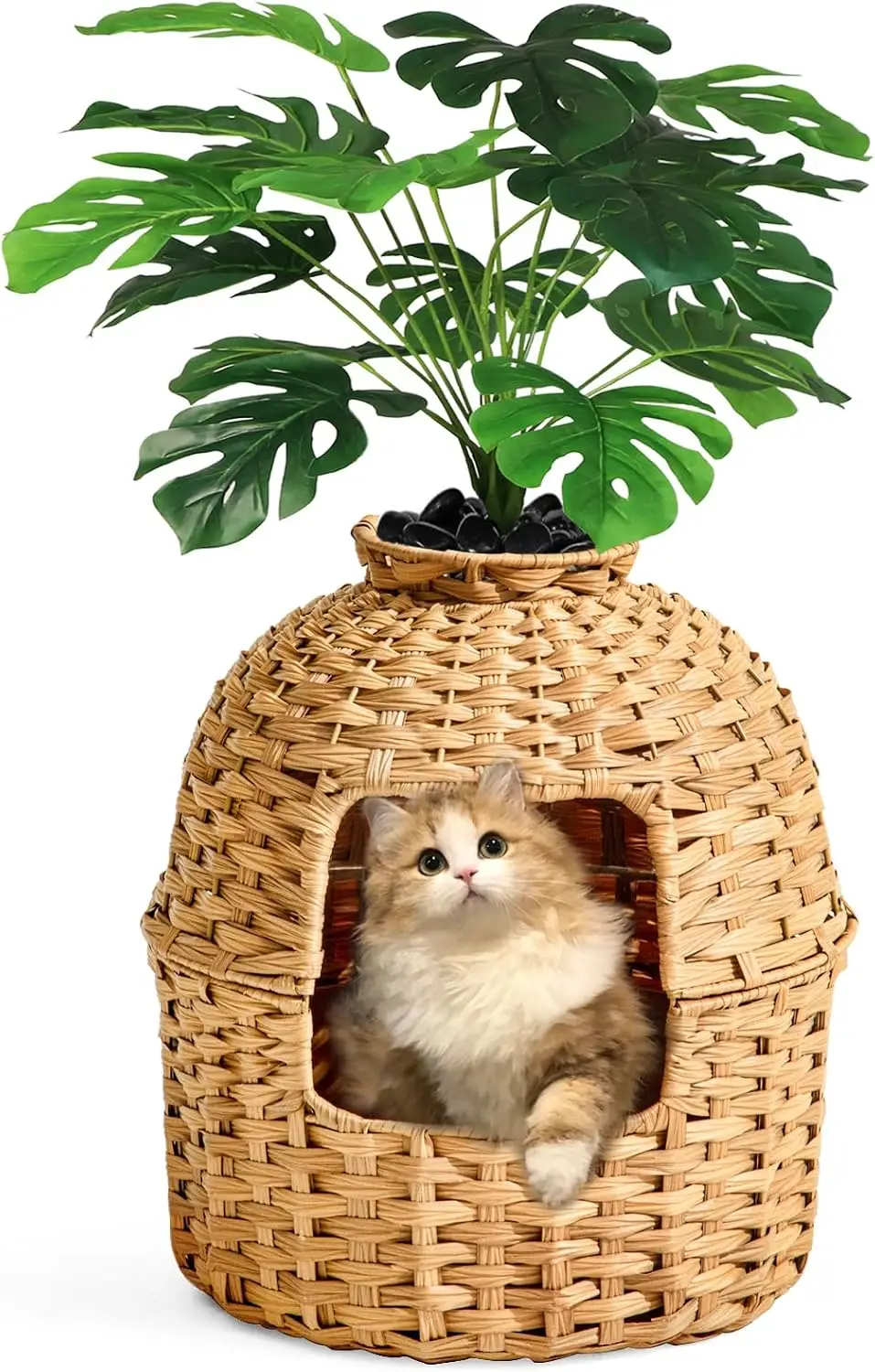 Cat Litter Box Plant Furniture Enclosure Rattan Pe House Natural